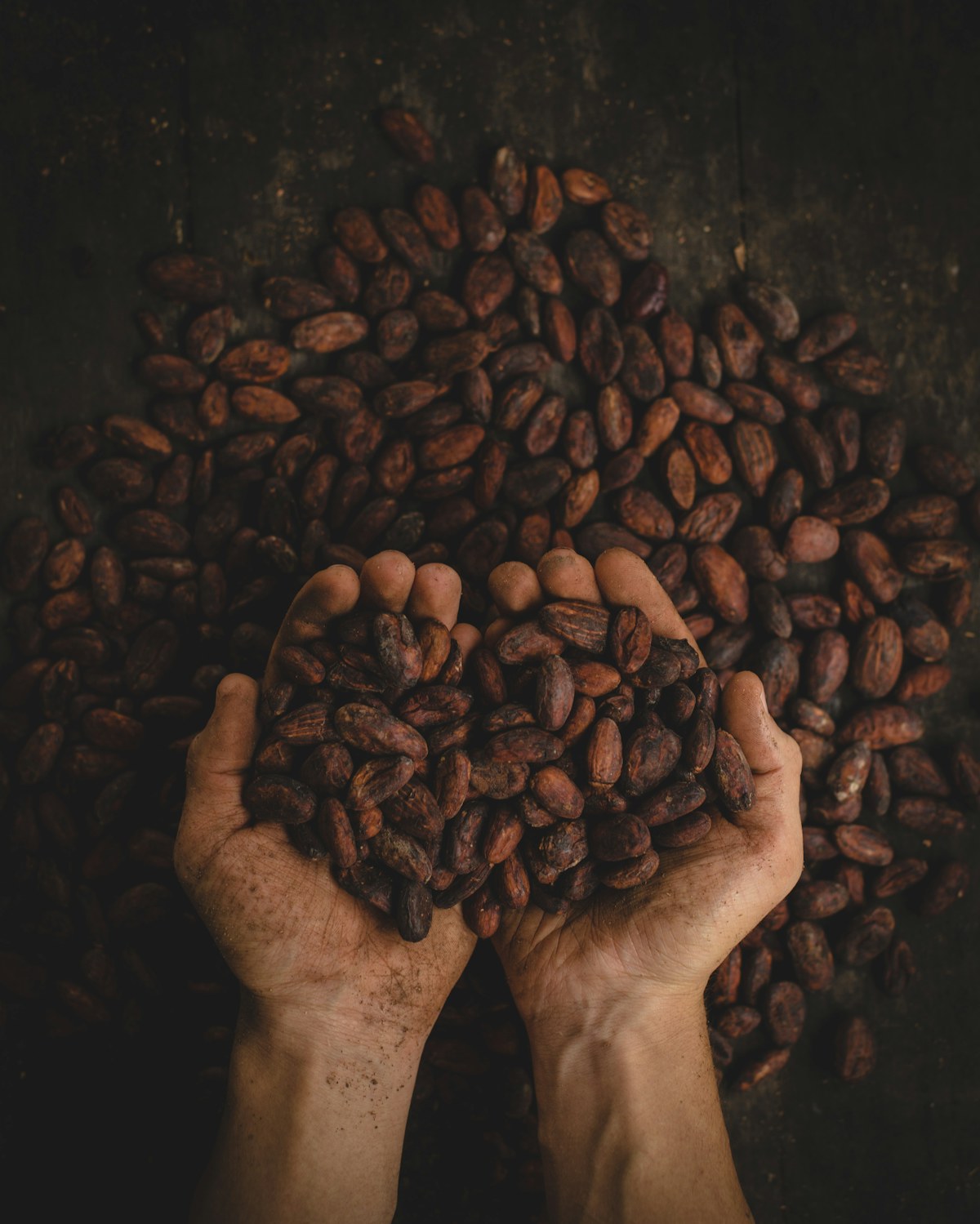 Cacao premium Ebene Cacao
